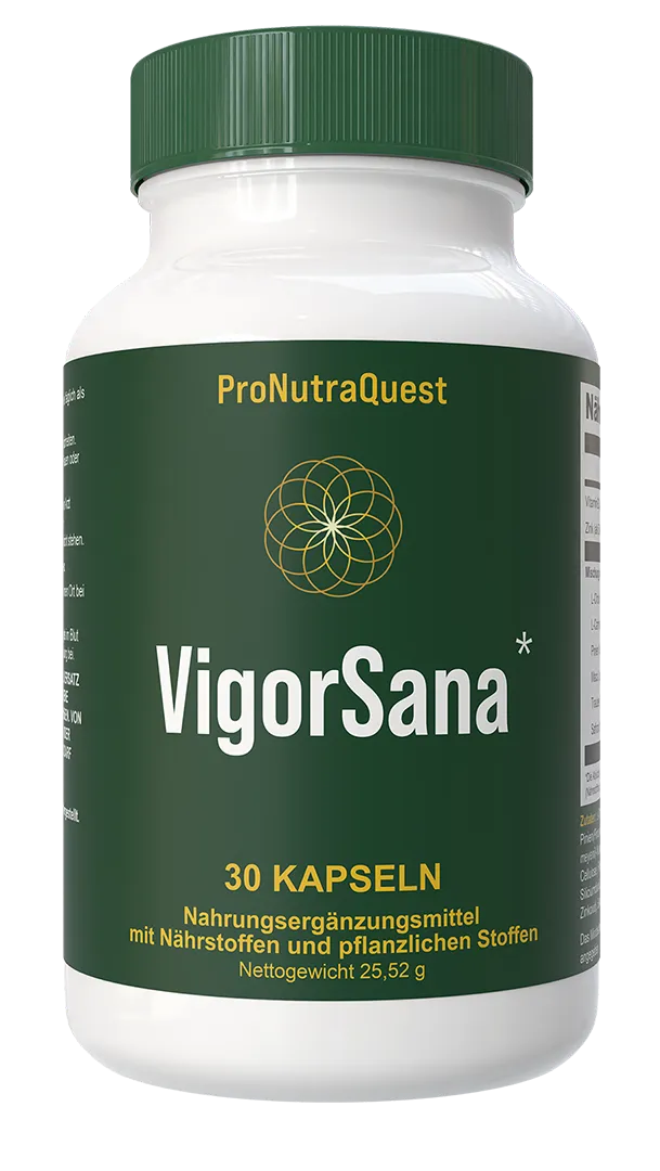 What is  VigorSana ?